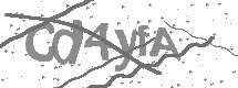 visual captcha